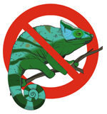 Lizard Ban