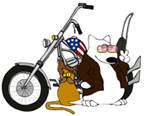 Easyridin' Bitch