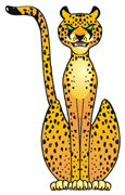 Fierce Cheetah