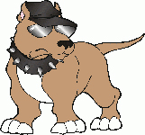Pitbull