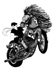 Iron Horse