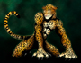 Spirit of the Rainforest